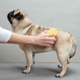 Bàn Chải Tắm Cho Chó Mèo DoggyMan Hỗ Trợ Massage
